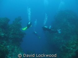 Entering "The Deep". Columbia Deep, Cozumel, Mexico. by David Lockwood 